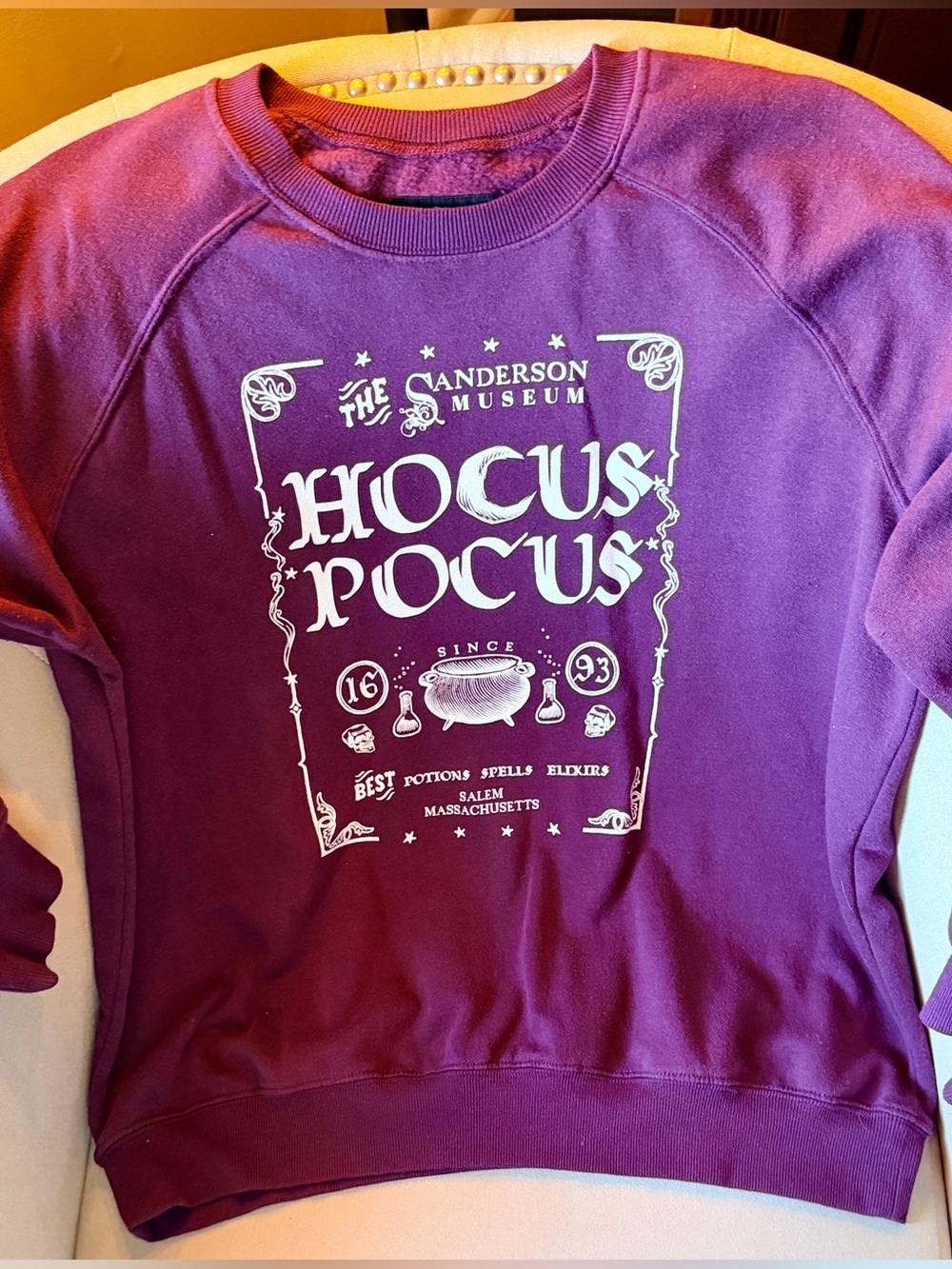 Disney x Torrid Hocus Pocus Crewneck Sweatshirt - Burgundy - Plus Size 0